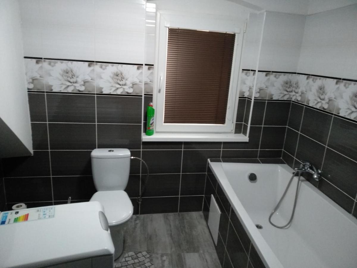Apartmany Litvinov Centrum المظهر الخارجي الصورة